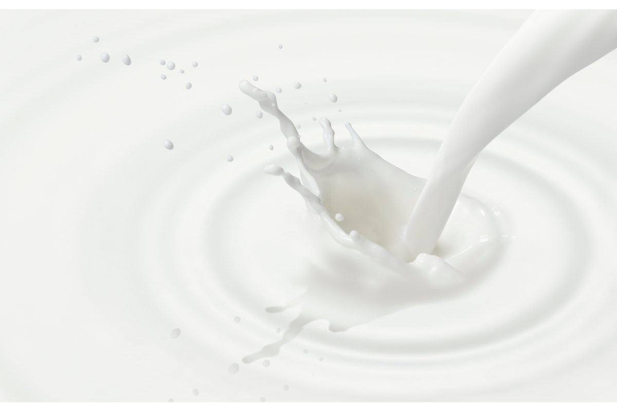 milk splash dairy beverage ingredients innovation formulation