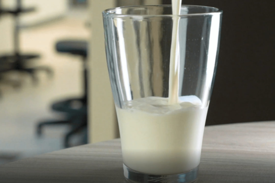 TurtleTree Labs cell-based milk