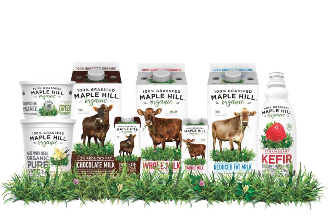 Maple Hill, Chocolate Milk