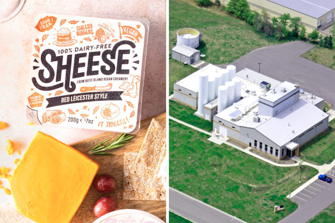 Sheese dairy-free cheese and Wisconsin Specialty Protein's Reedsburg, Wis., facility