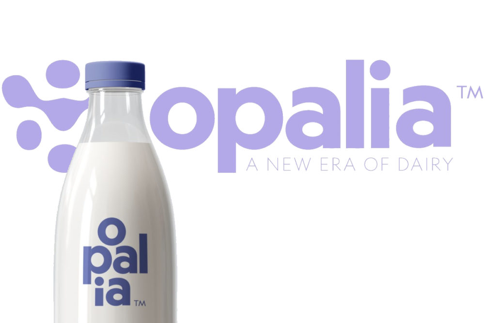 Opalia cell-based animal-free cow's milk