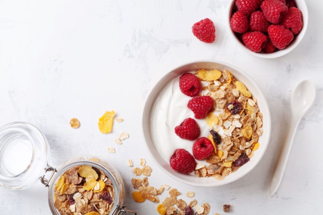 yogurt probiotics prebiotics digestive health