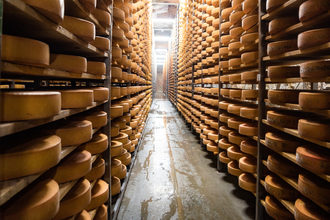 Cheese cold storage dairy cold storage