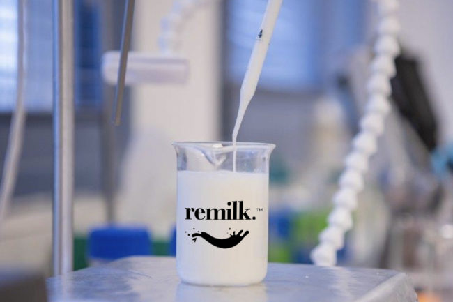 Remilk full-scale precision fermentation facility animal-free dairy products