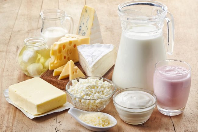 dairy products milk cheese butter yogurt