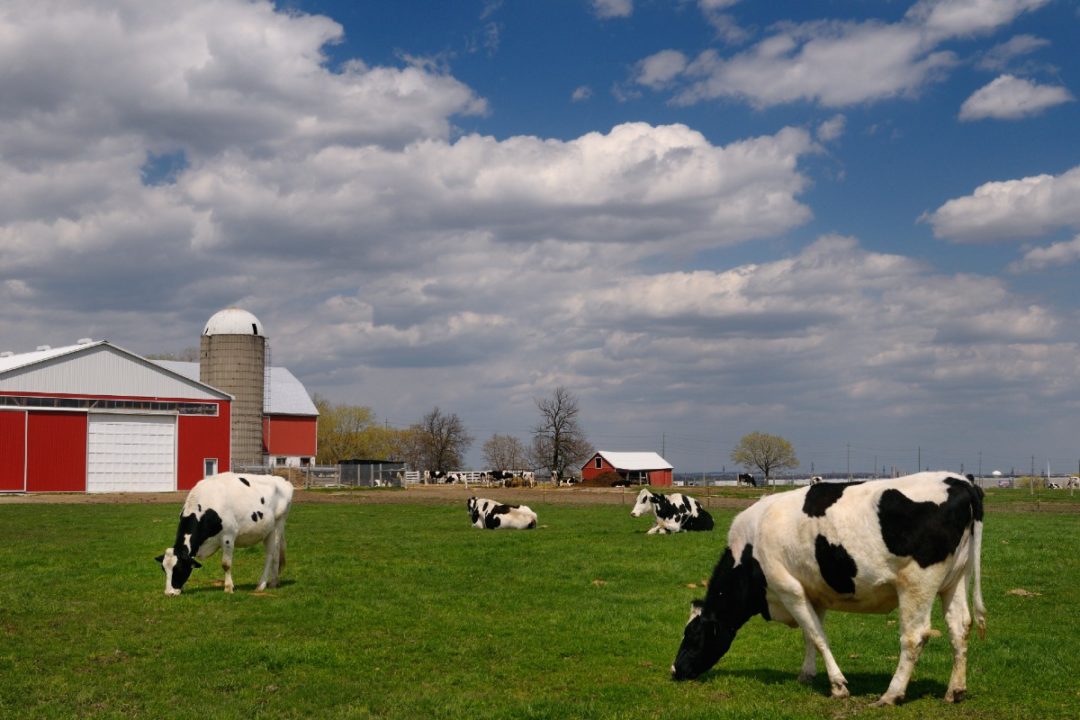 Ecosystem Services Market Consortium Eco Harvest farmers regenerative agriculture dairy farms sustainability