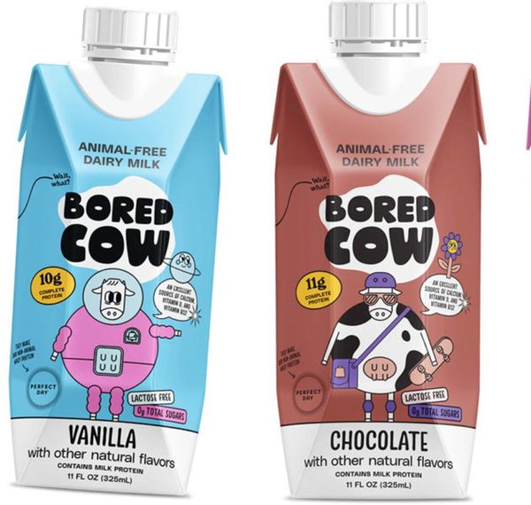 Bored Cow Tomorrow Farms animal-free milk vanilla chocolate strawberry