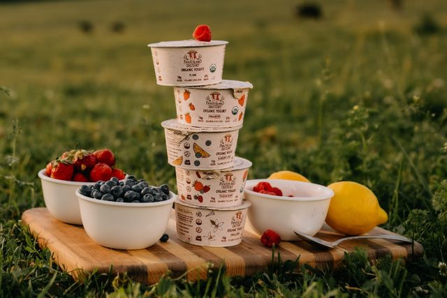 Painterland sisters organic skyr yogurt pennsylvania dairy