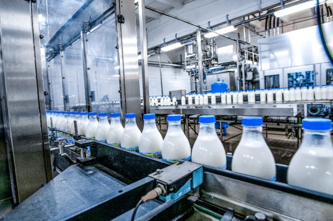 milk dairy production factory dairy processing dairy industry