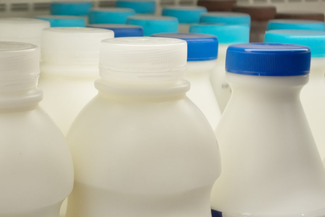 milk bottles refrigerated milk dairy