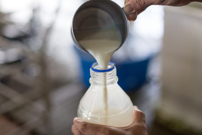 milk lab dairy processing
