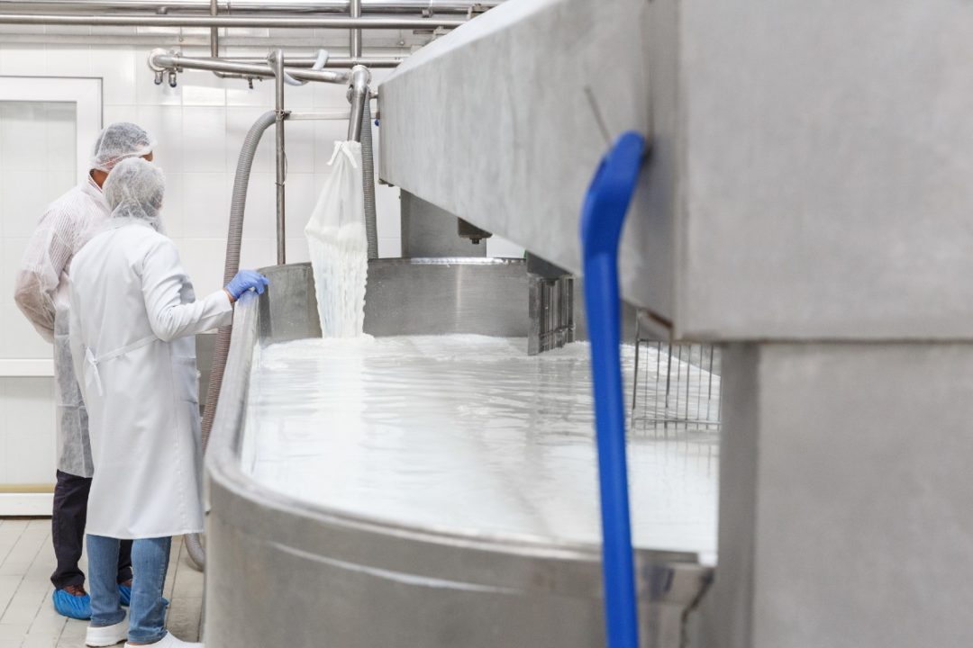 food safety cheese dairy plant quality facilities.jpg