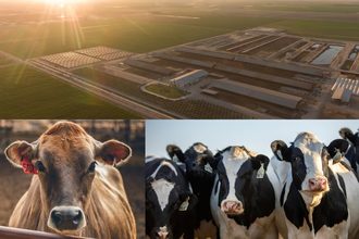 California Dairy Research Foundation climate smart USDA Partnerships for Climate-Smart Commodities program funding