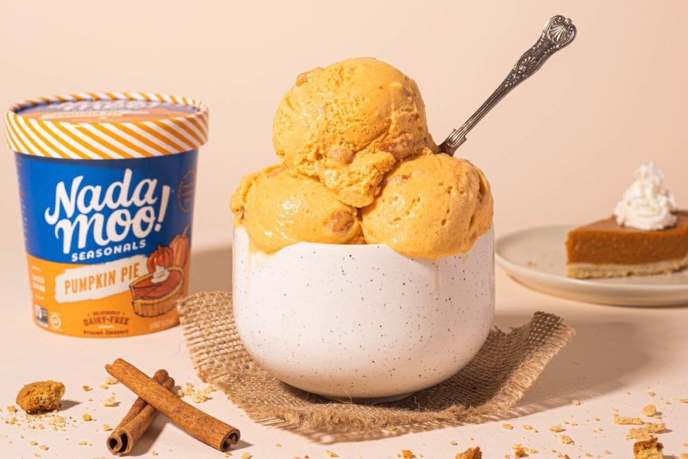 NadaMoo pumpkin pie ice cream coconut milk base flavors non-dairy frozen desserts dairy alternatives