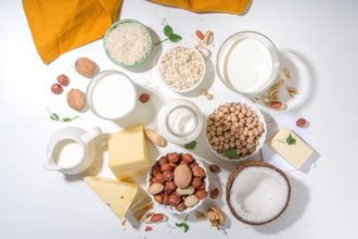 plant based dairy alternative products