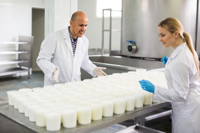 dairy factory work cottage cheese dairy processing dairy industry