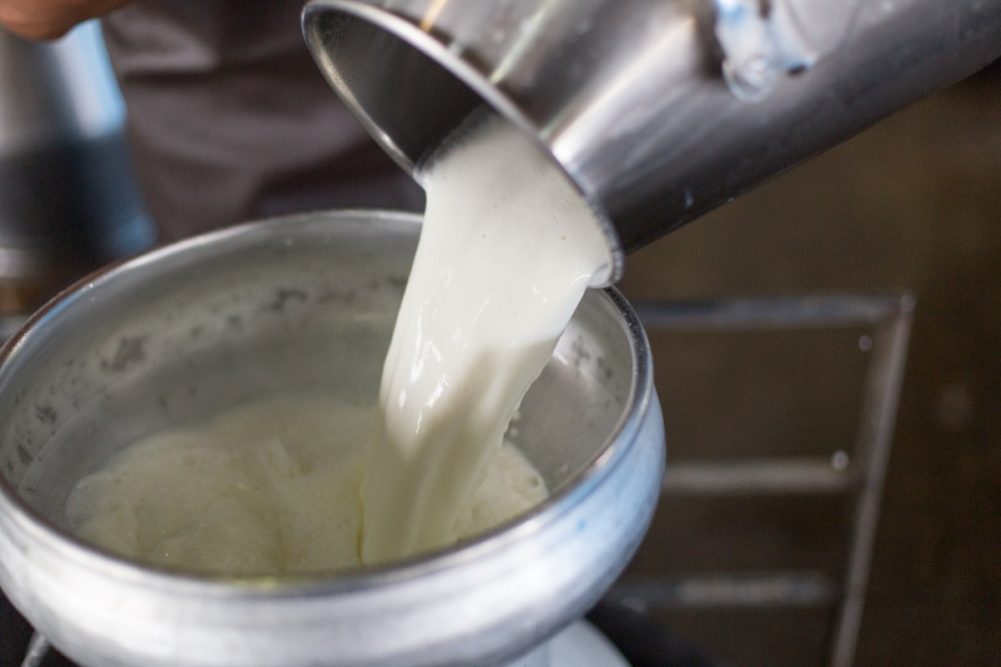 milk dairy processing