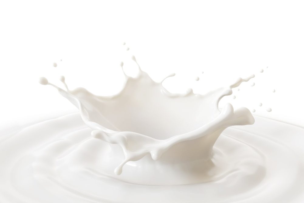 milk dairy