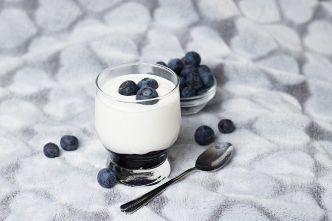 yogurt products ingredients dairy products cultured
