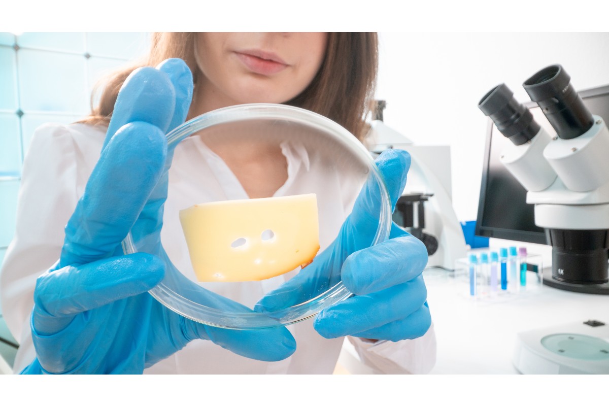 food safety dairy cheese quality inspection