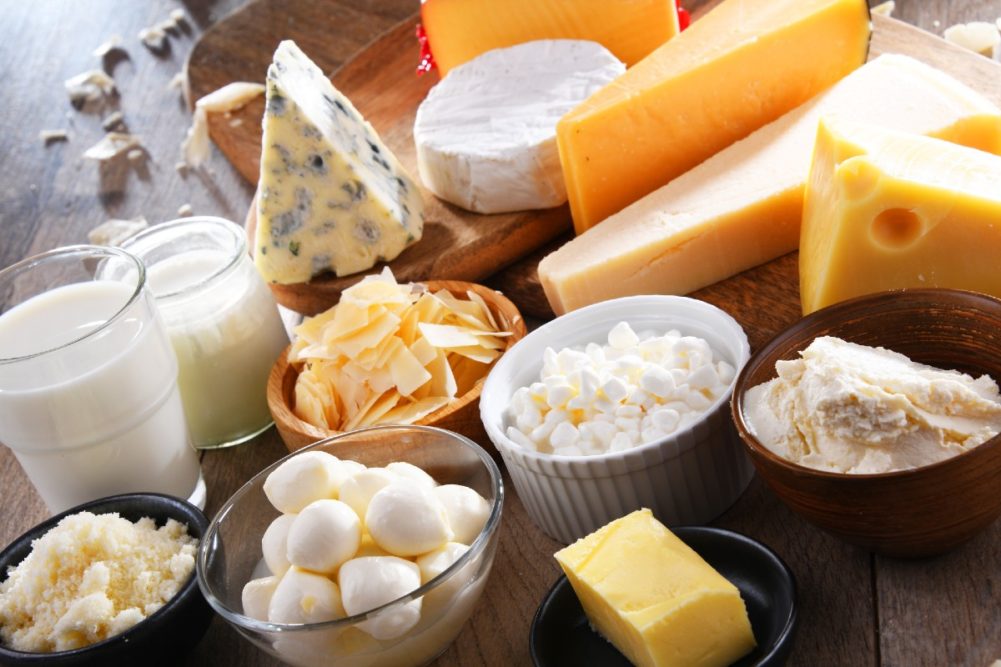 dairy products cheese milk butter