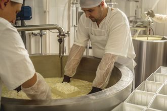 dairy processing plant facility cheese production making