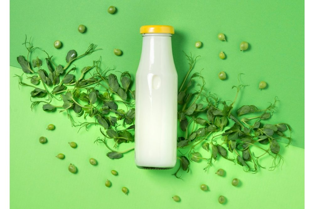 pea protein plant based milk dairy alternatives non-dairy alt-dairy