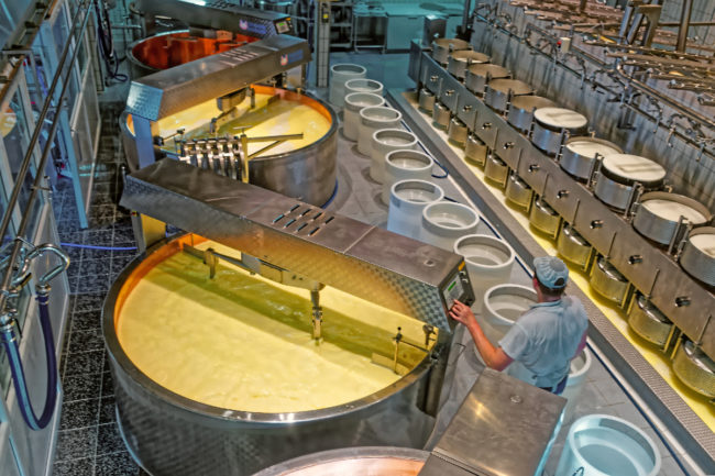 cheese production facility plant dairy processing equipment operation