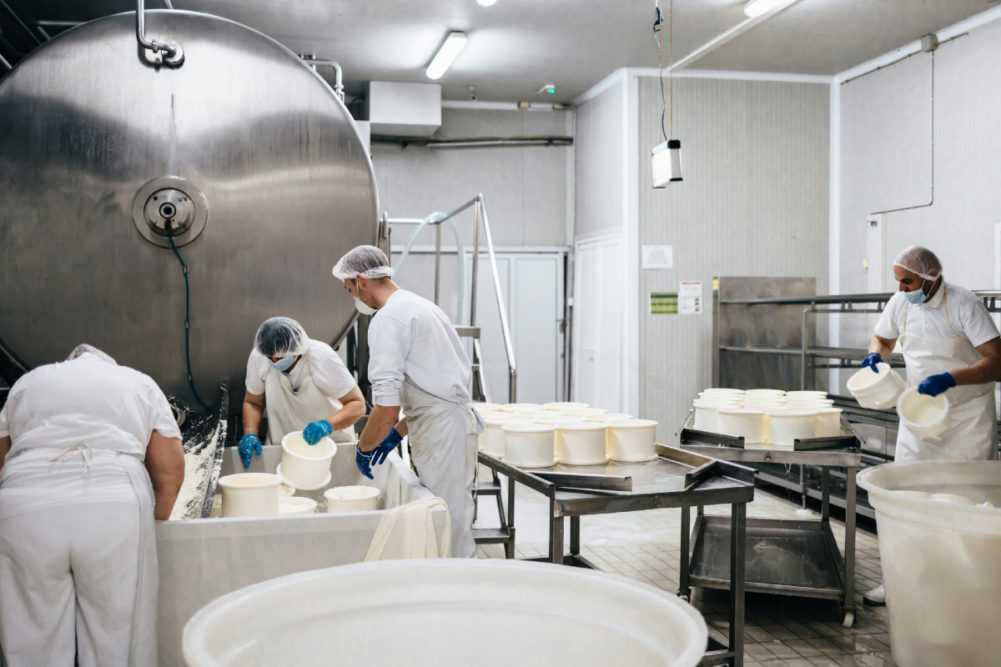 cheese manufacturing dairy plant facility
