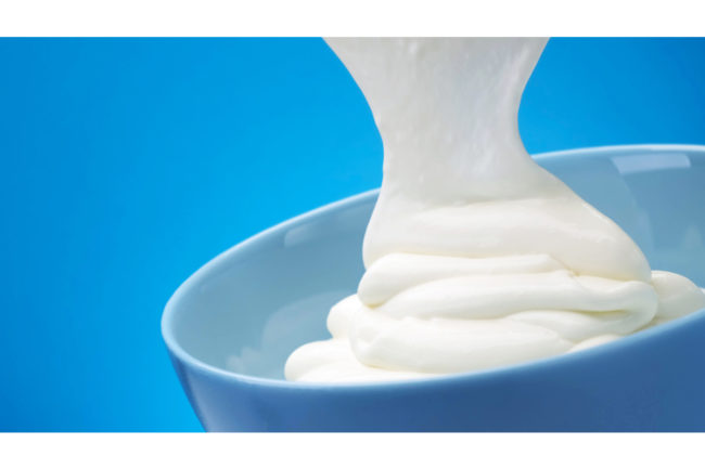 yogurt dairy products ingredients cultures