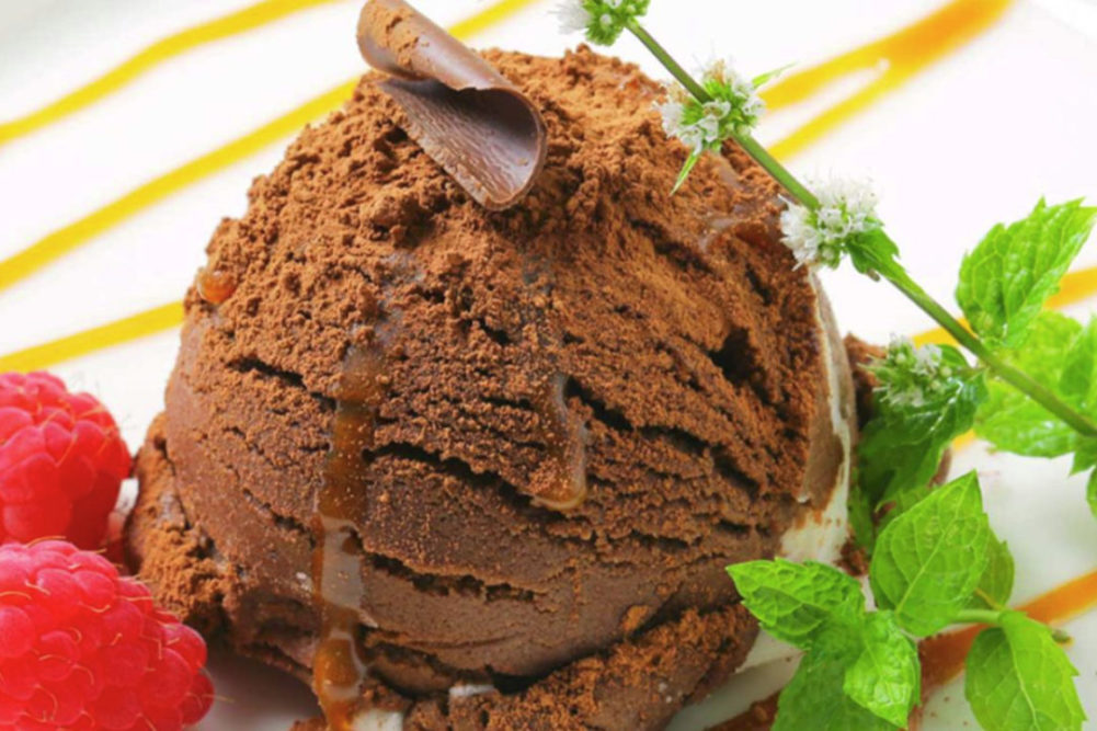 Scoop of chocolate ice cream with mint garnish
